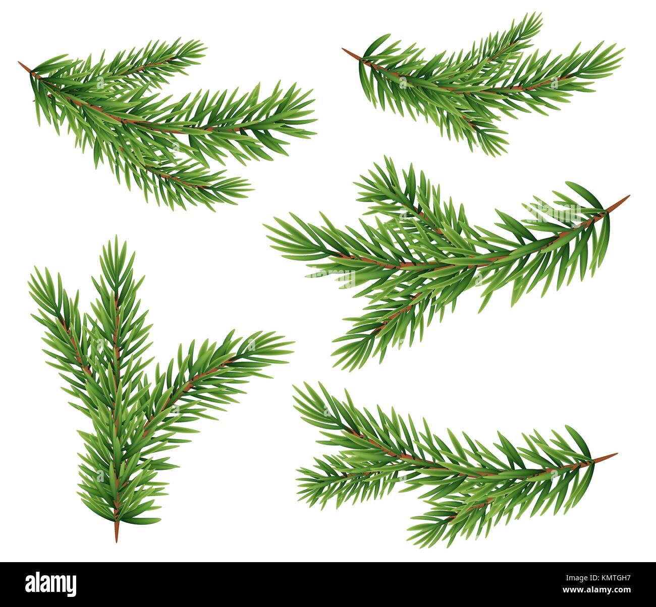 Insieme di raccolta di realistica rami d abete silhouette per albero di natale, pino. illustrazione vettoriale Illustrazione Vettoriale