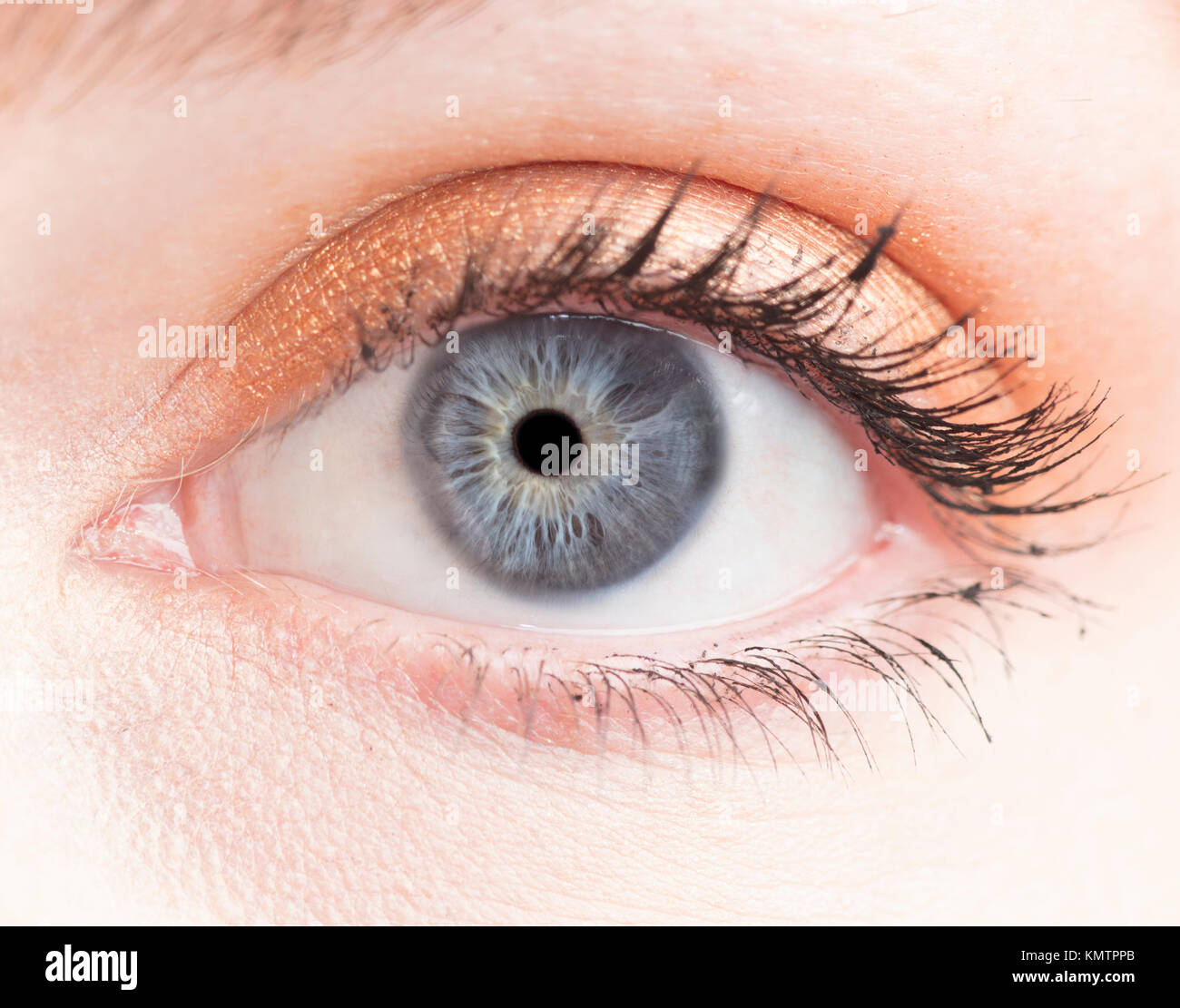 Foto macro di occhio umano, iris, alunno, ciglia, palpebre. Foto Stock