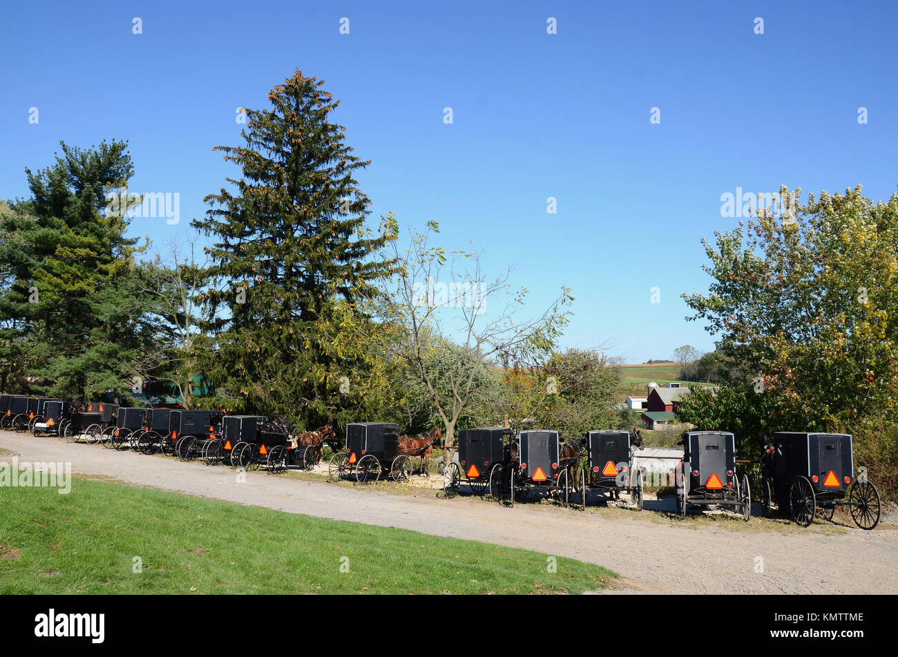 Fila di Amish buggies parcheggiata fuori Farmerstown asta di bestiame, Ohio, Stati Uniti d'America. Foto Stock