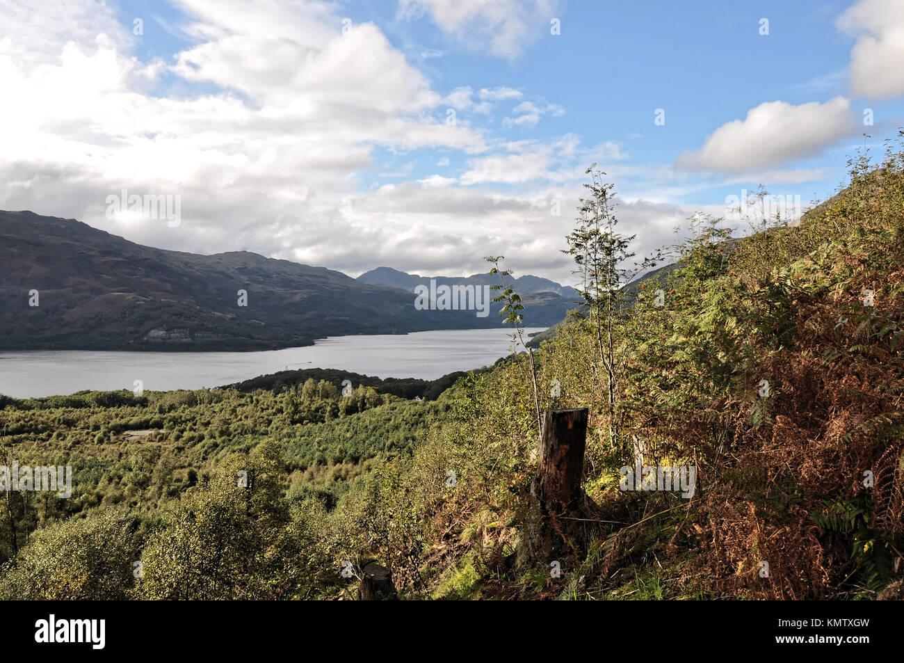 Riva del Loch Lomond Scozia, Regno Unito Foto Stock