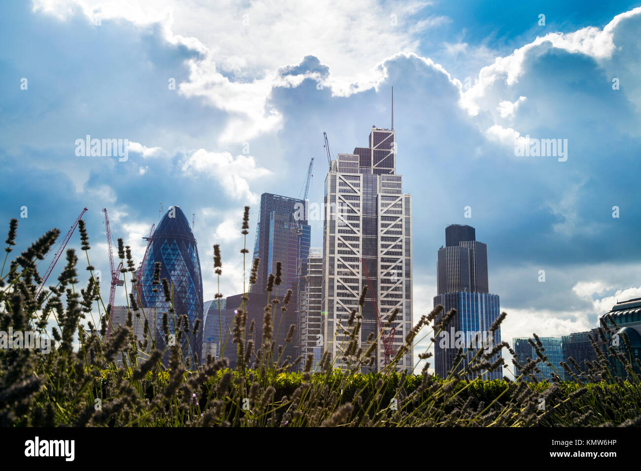 Vista della città di Londra grattacieli (Gherkin, Cheesegrater, Heron Tower, torre 42) con piante e erba in primo piano, London, Regno Unito Foto Stock