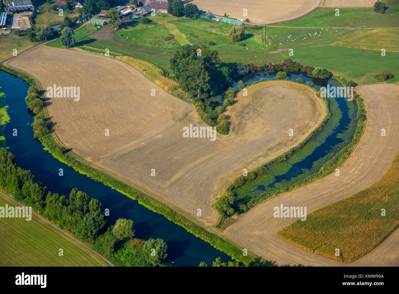 Lanca della Lippe, la metà di un cuore, Lippe meandro, Lippeaue,Lippe prato, siepi, riserva naturale, Waltrop, la zona della Ruhr, Nord Reno-Westfalia, Germania Foto Stock