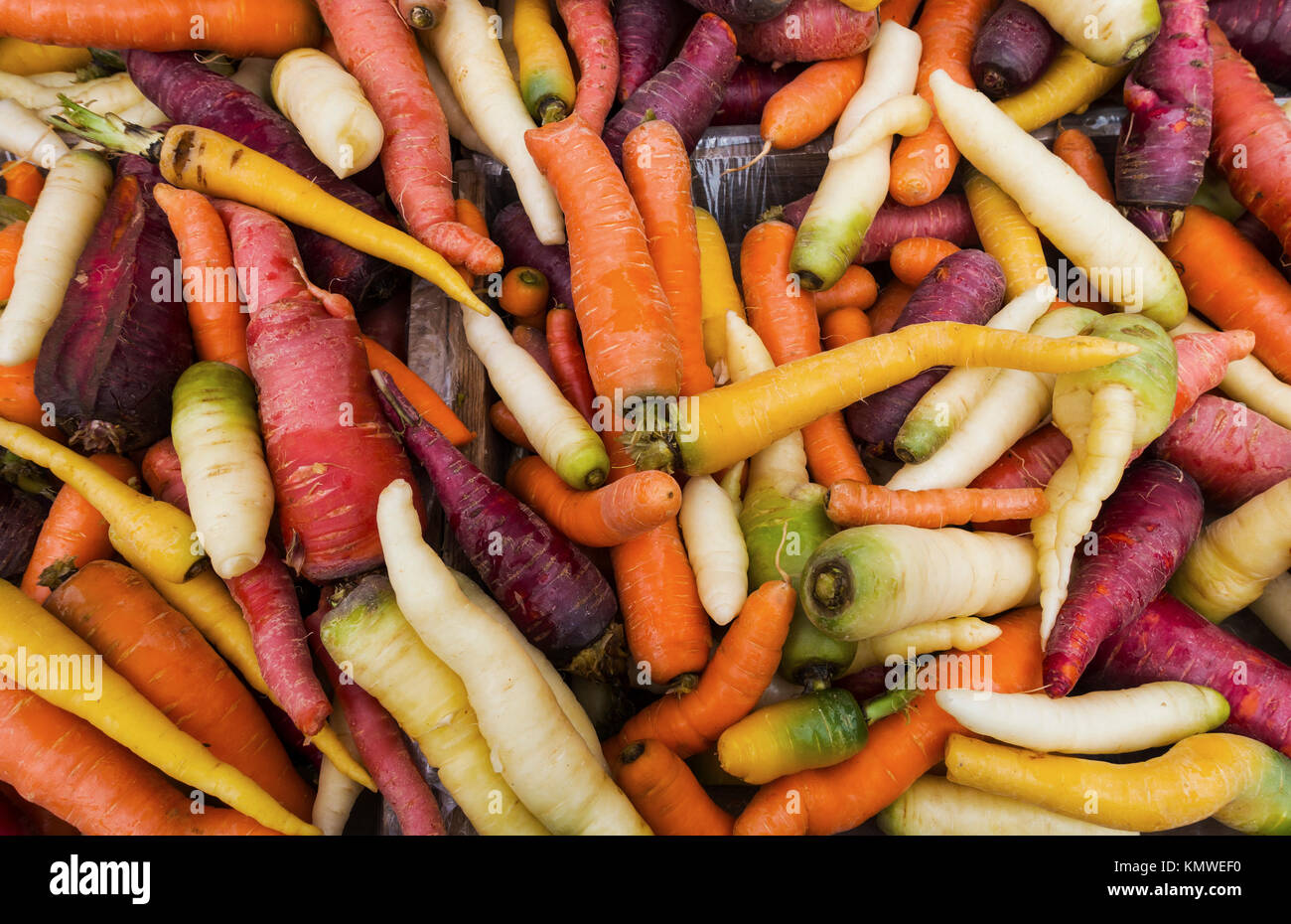 Colori misti carote presso la Union Square Green Market nella città di New York Foto Stock