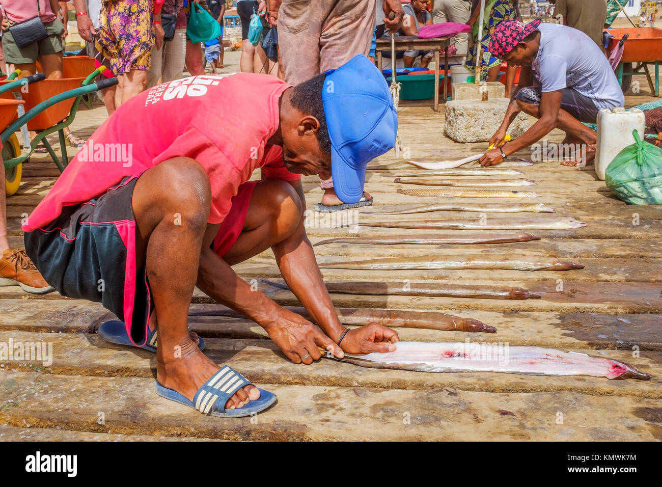 I pescatori locali eviscerazione appena catturati anguille sul molo di Santa Maria Capo Verde Foto Stock