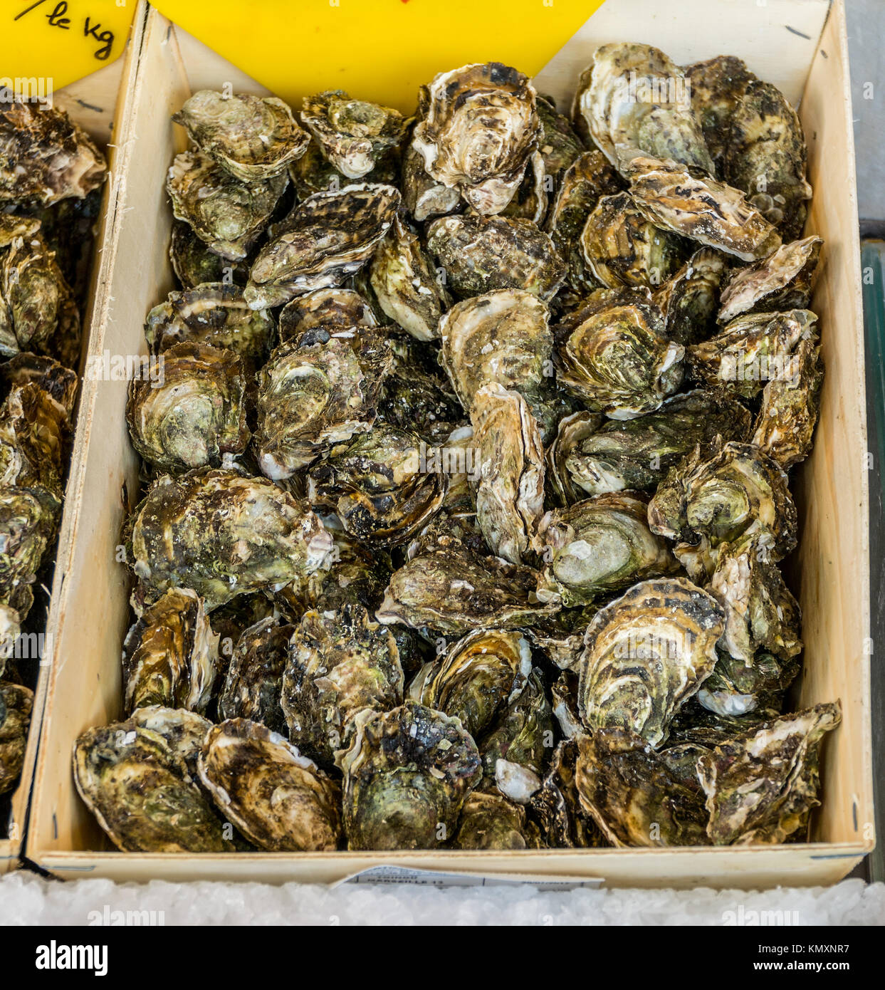 Ostriche nel vassoio in legno nel mercato. Foto Stock