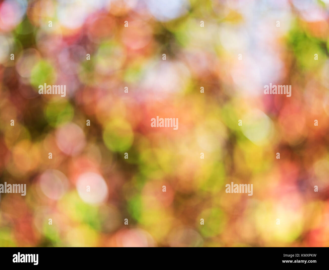 Sfocato colorato Foglie di autunno. La natura dello sfondo. Foto Stock