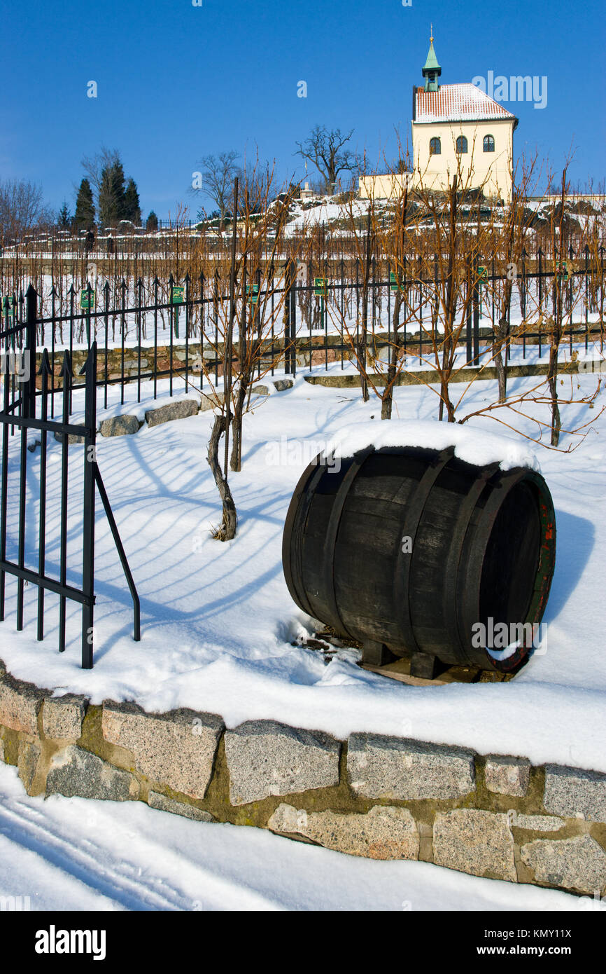 Barokni zamek, Troja, Praha, Ceska republika / baroue Troja , castello di Troja vigneti, Troja giardino botanico, Praga, Repubblica Ceca Foto Stock