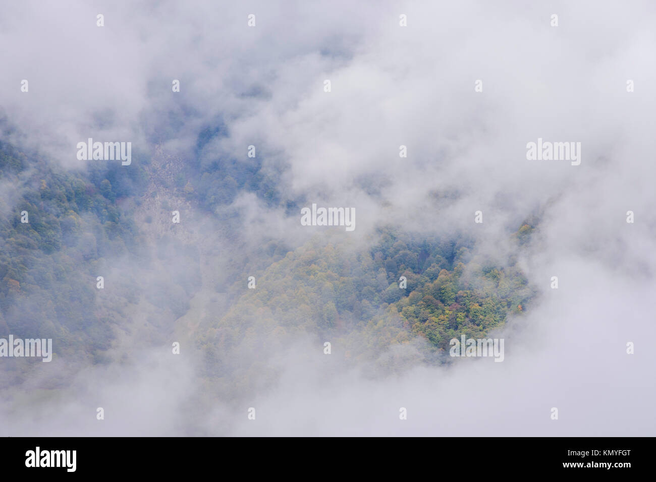 Colori d'autunno foresta da passante sopra le nuvole Foto Stock