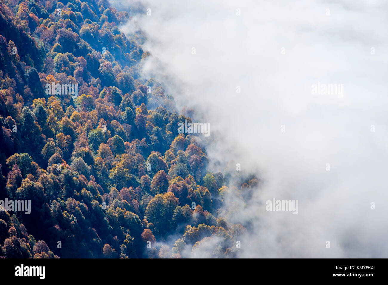 Colori d'autunno foresta da passante sopra le nuvole Foto Stock