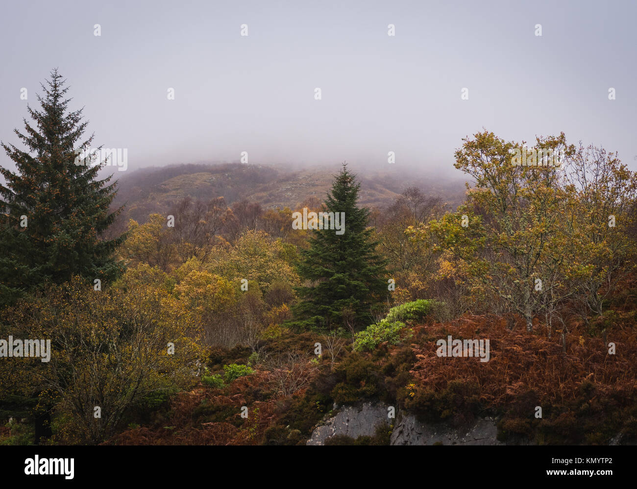 Loch Creran foggy montagne, Scozia Foto Stock