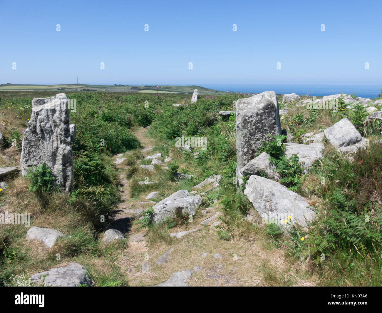 Chun Castello, Chun Downs Riserva Naturale, North Cornwall, Inghilterra, Regno Unito in Junef Foto Stock