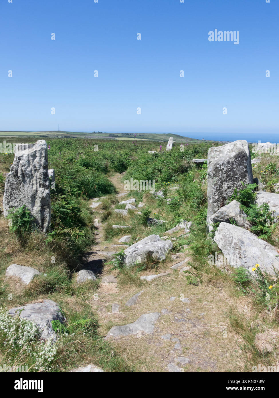 Chun Castello, Chun Downs Riserva Naturale, North Cornwall, Inghilterra, Regno Unito in Junef Foto Stock