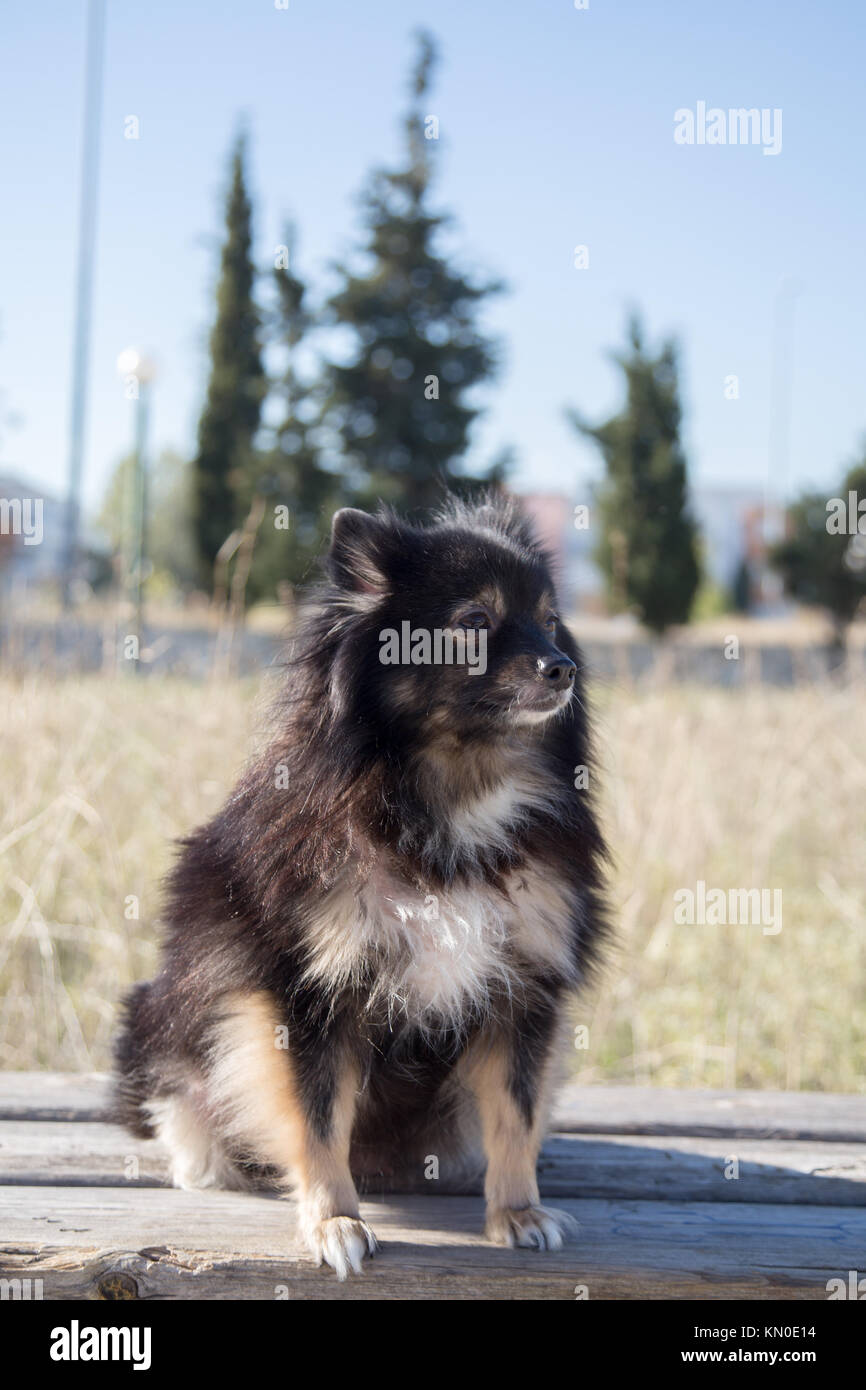 Siiting su e rilassante per la sua sessione di tiro Foto Stock