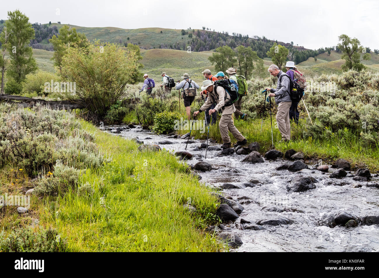 Durante l'estate, i turisti fanno un'escursione sul Rose Creek presso il parco nazionale di Yellowstone, Lamar Valley, il 29 giugno 2017, nel Wyoming. (Foto di Jacob W. Frank via Planetpix) Foto Stock