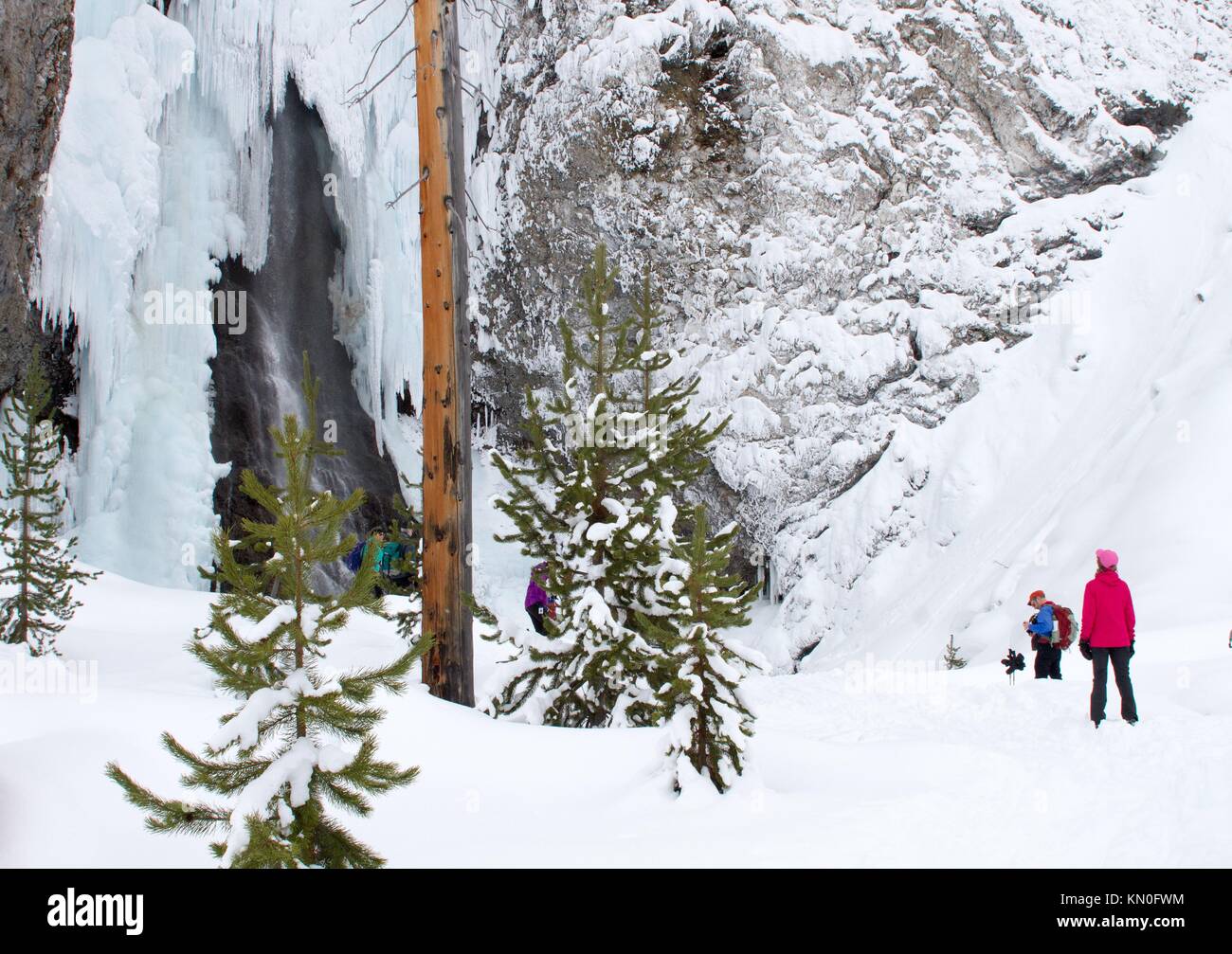 Gli amanti dello sci di fondo sci su di un sentiero per le Fairy Falls durante un inverno nevoso giornata al parco nazionale di Yellowstone gennaio 20, 2017 vicino al canyon village, Wyoming. (Foto di diane renkin via planetpix) Foto Stock