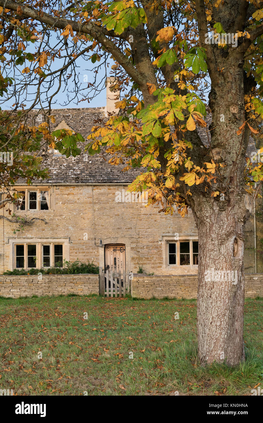 Cotswold cottage in pietra e alberi d'autunno in Wyck Rissington, Cotswolds, Gloucestershire, Inghilterra Foto Stock