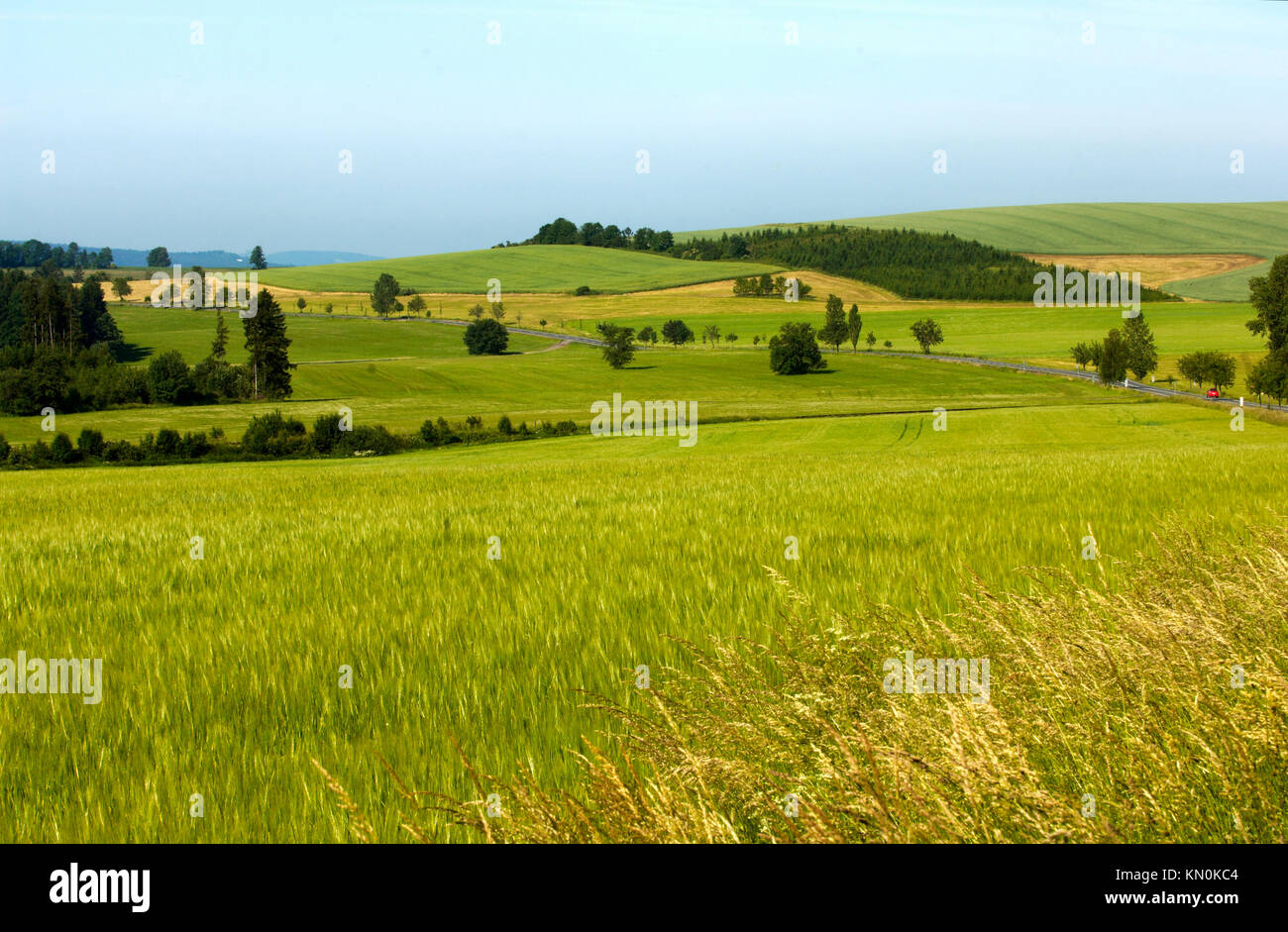 Tschechien,Ostböhmen, bei Rokytniz:Landschaft im Adlergebirge. Foto Stock