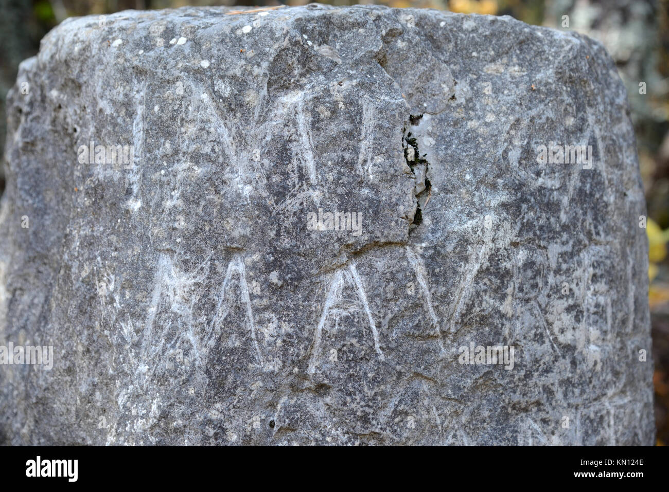 Iscrizioni romane sul miliare romano (211-217 AD), dedicato all'imperatore Marco Aurelio, voie des Alpes strada romana, Taulanne, Senez, Provenza, Francia Foto Stock