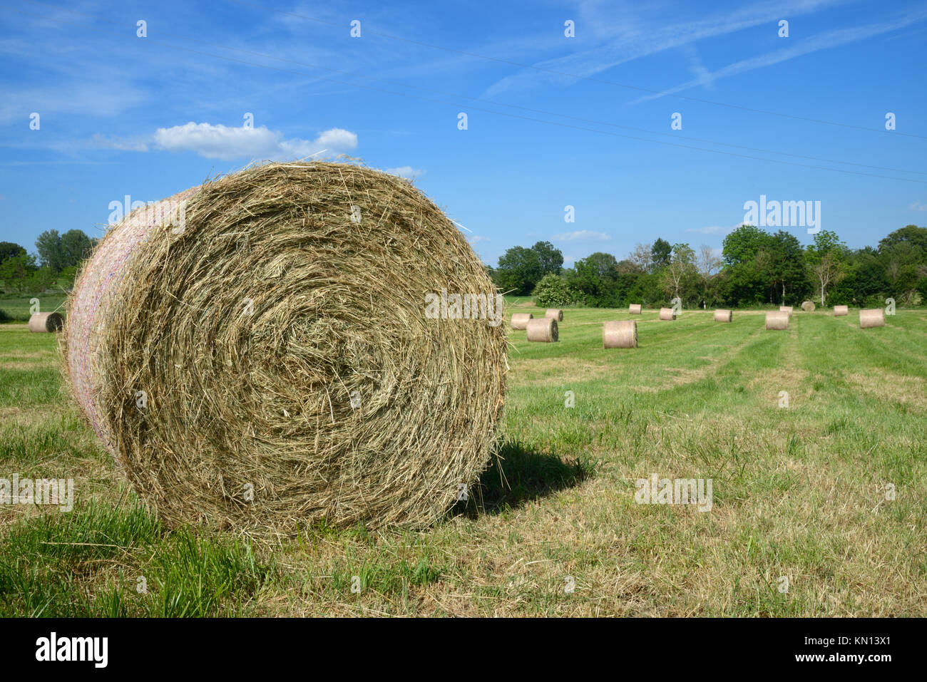 Balle di fieno e campi nei pressi di Cereste nel Parco Regionale del Luberon Provenza Francia Foto Stock