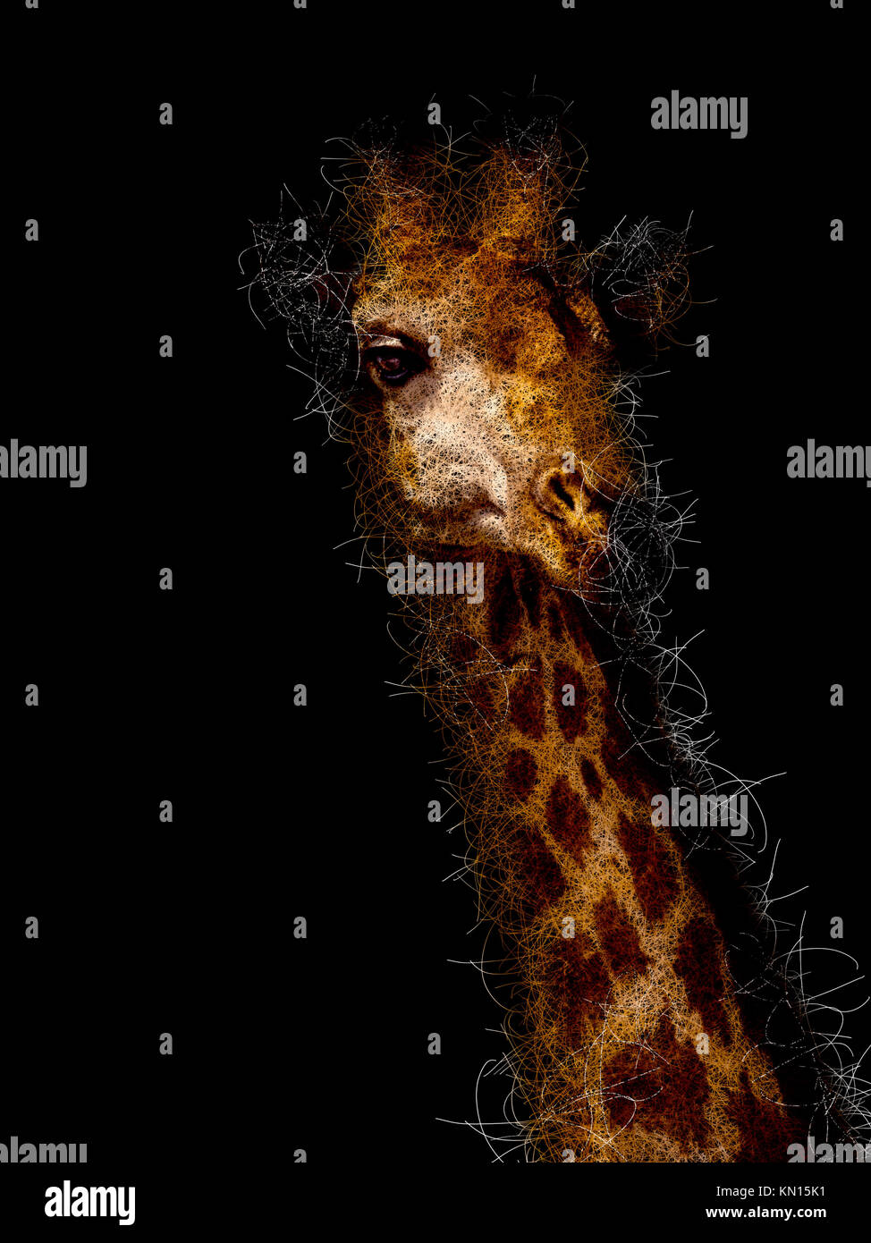 Schizzo giraffe Foto Stock