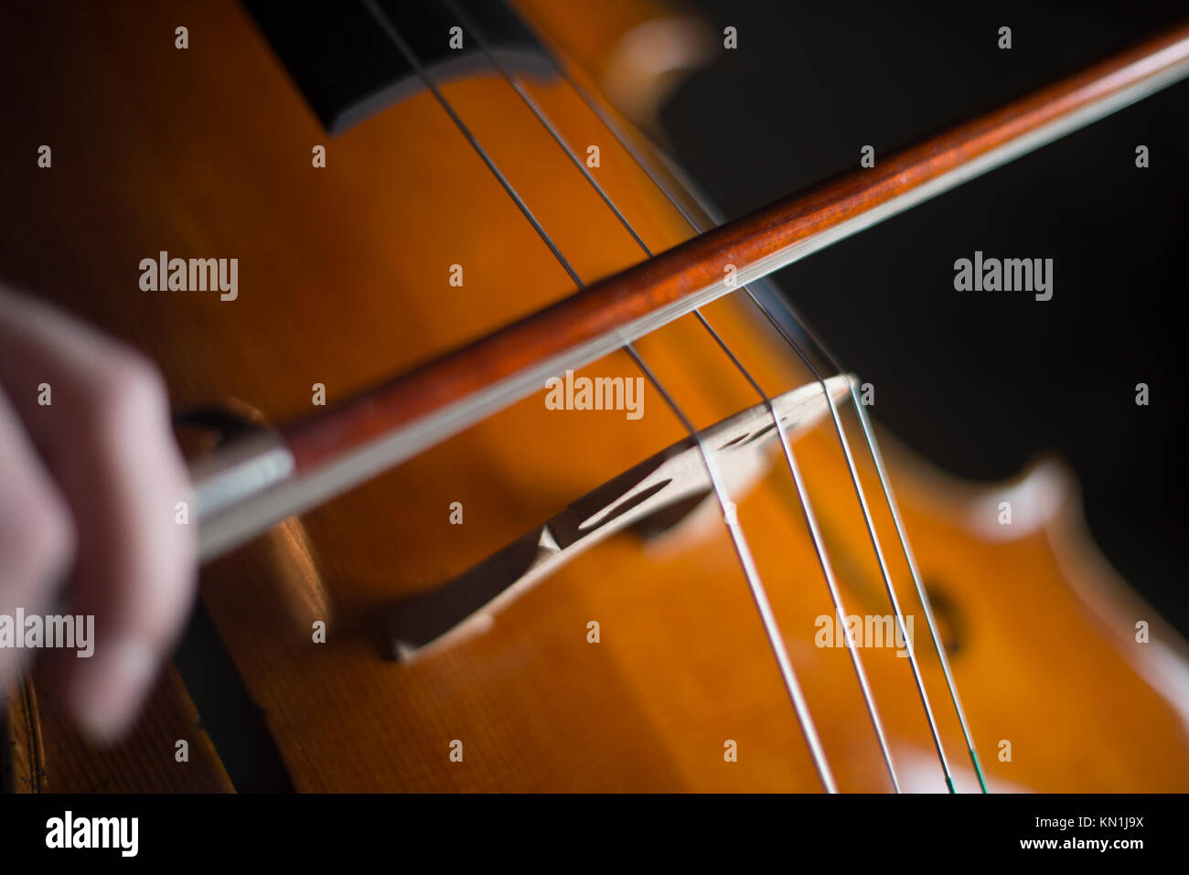 La riproduzione e test Pegasus violoncello in Cremona italia dal liutaio liutaio Vladimiro Cubanzi da La Casa del violino Foto Stock