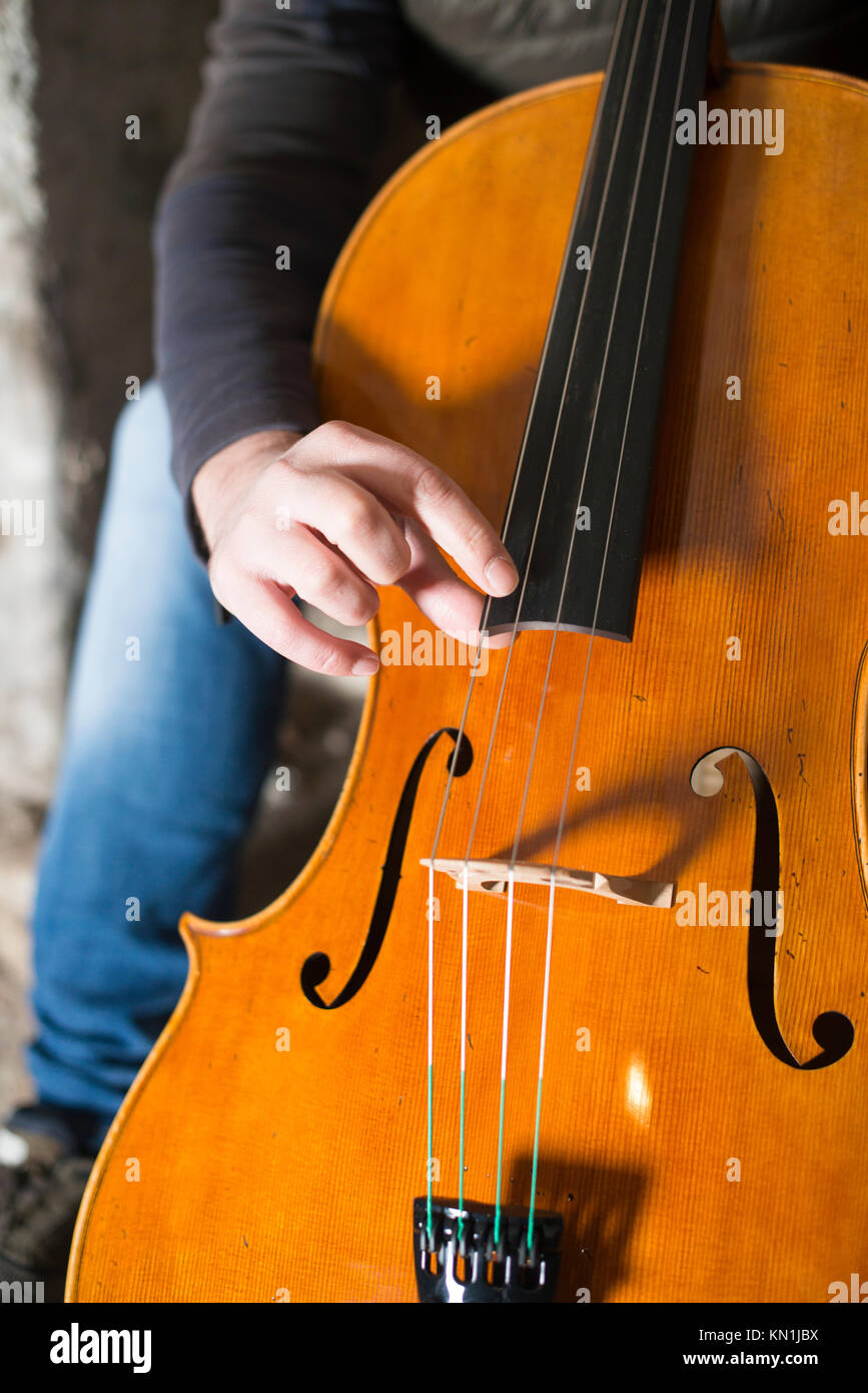 La riproduzione e test Pegasus violoncello in Cremona italia dal liutaio liutaio Vladimiro Cubanzi da La Casa del violino Foto Stock