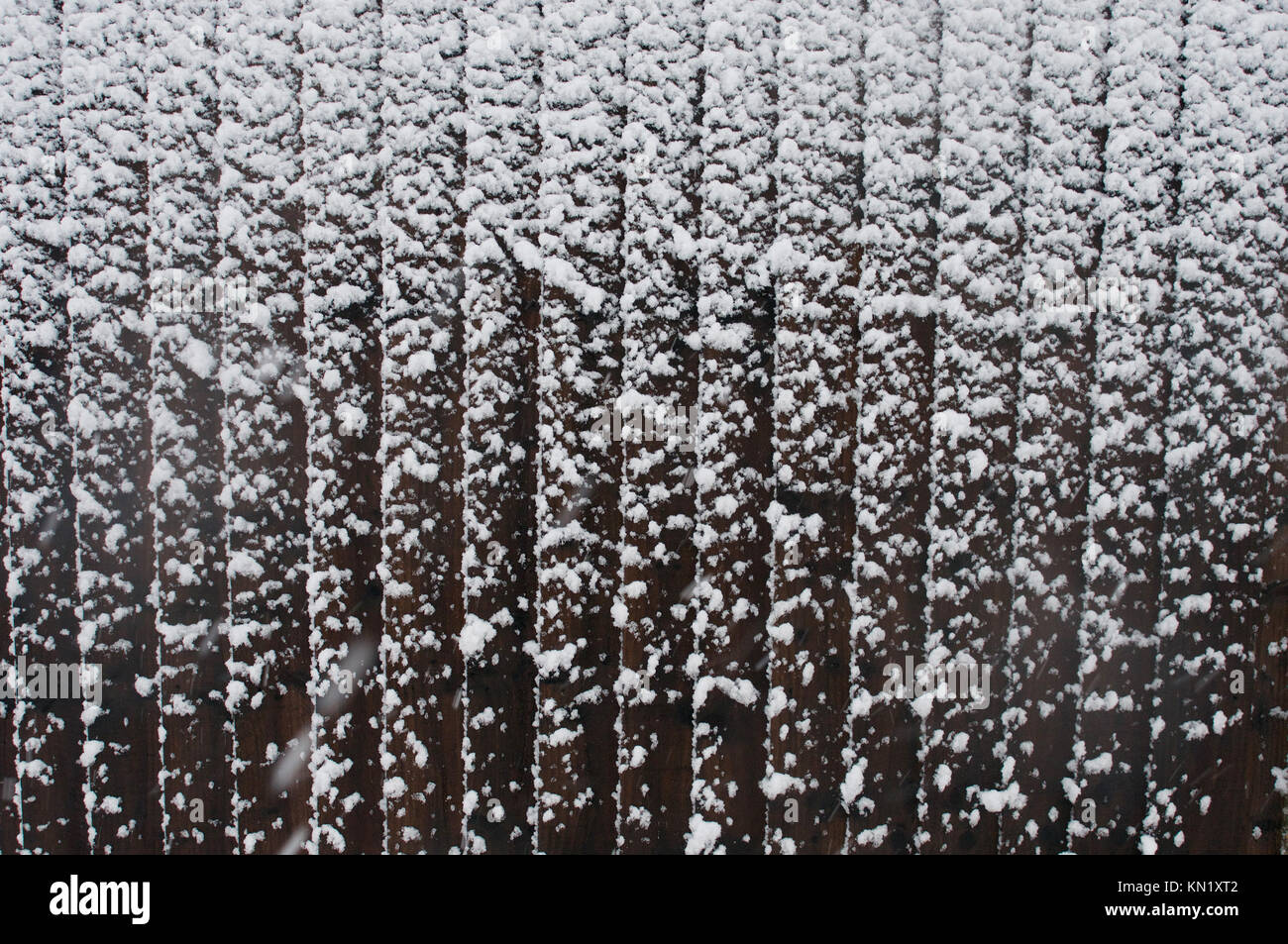 Wickford, Essex, Regno Unito. Decimo Dec, 2017. Meteo REGNO UNITO: Early Morning nevicata copre Essex Credit: Ben rettore/Alamy Live News Foto Stock