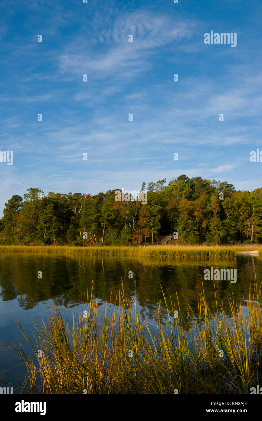 Stati Uniti d'America, Virginia VA Campo indiano creek vicino a Yorktown Virginia zone umide Foto Stock