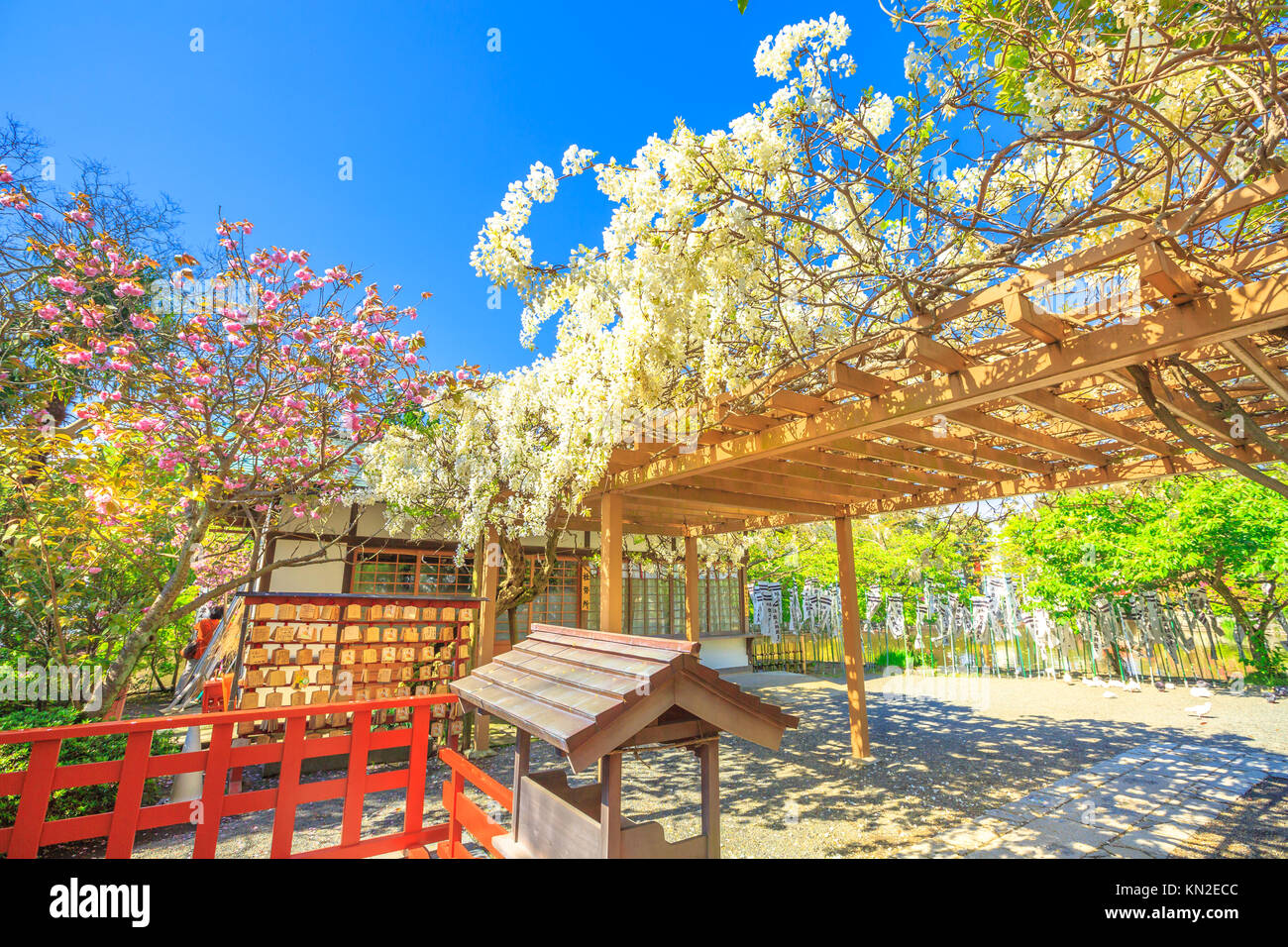 Santuario Benzaiten hanami Foto Stock