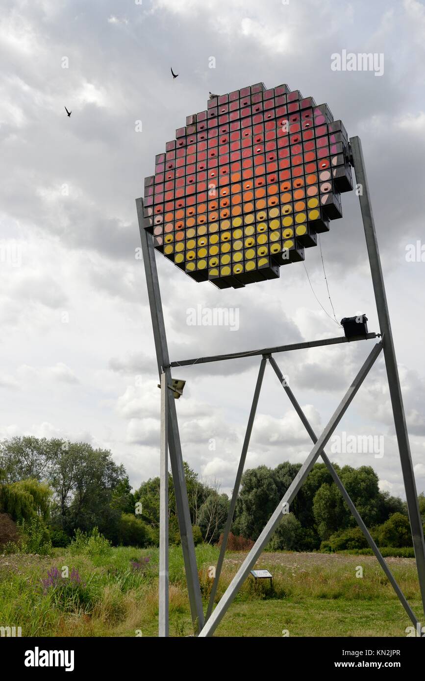 (Rondoni Apus apus) volare oltre una torre Swift con scatole di nido per un massimo di 100 coppie concepito come un appalto pubblico di lavori d'arte a guardare come un sole di setting, Cambridge. Foto Stock