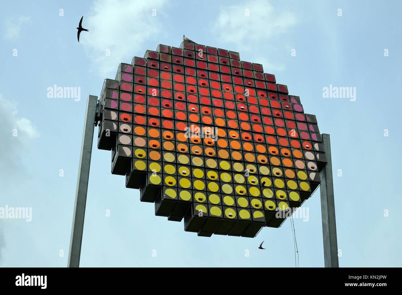 (Rondoni Apus apus) volare oltre una torre Swift con scatole di nido per un massimo di 100 coppie concepito come un appalto pubblico di lavori d'arte a guardare come un sole di setting, Cambridge. Foto Stock