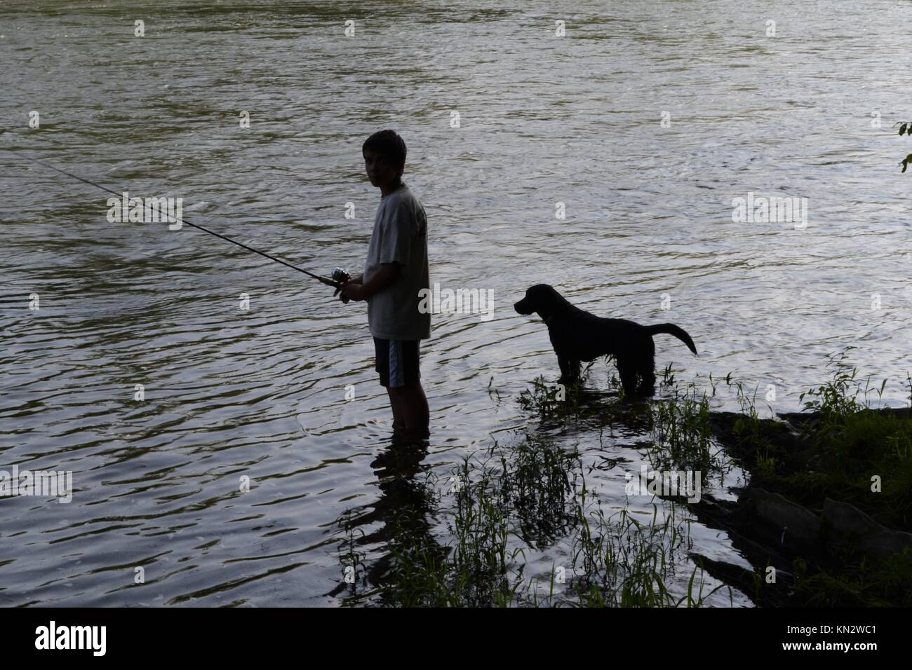 La mattina presto la pesca nel fiume Shenandoah Foto Stock