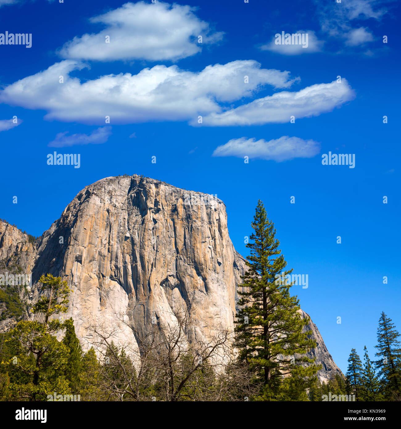 Parco Nazionale di Yosemite El Capitan California USA. Foto Stock