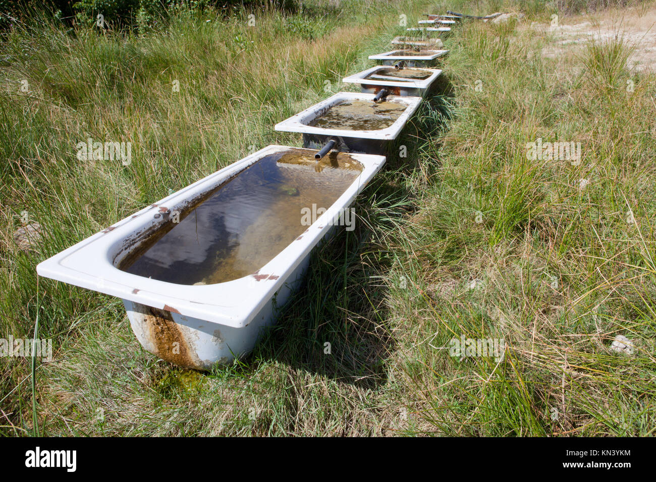 Linea di bathtubes come waterhole vacche, Alcarria, Spagna. Foto Stock