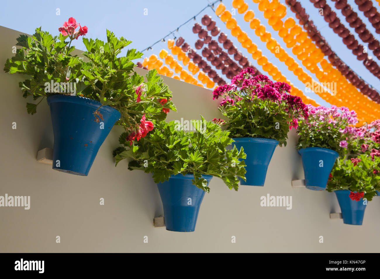 Parete con vasi di fiori. Cordoba stand fieristici, Andalusia, Spagna. Foto Stock