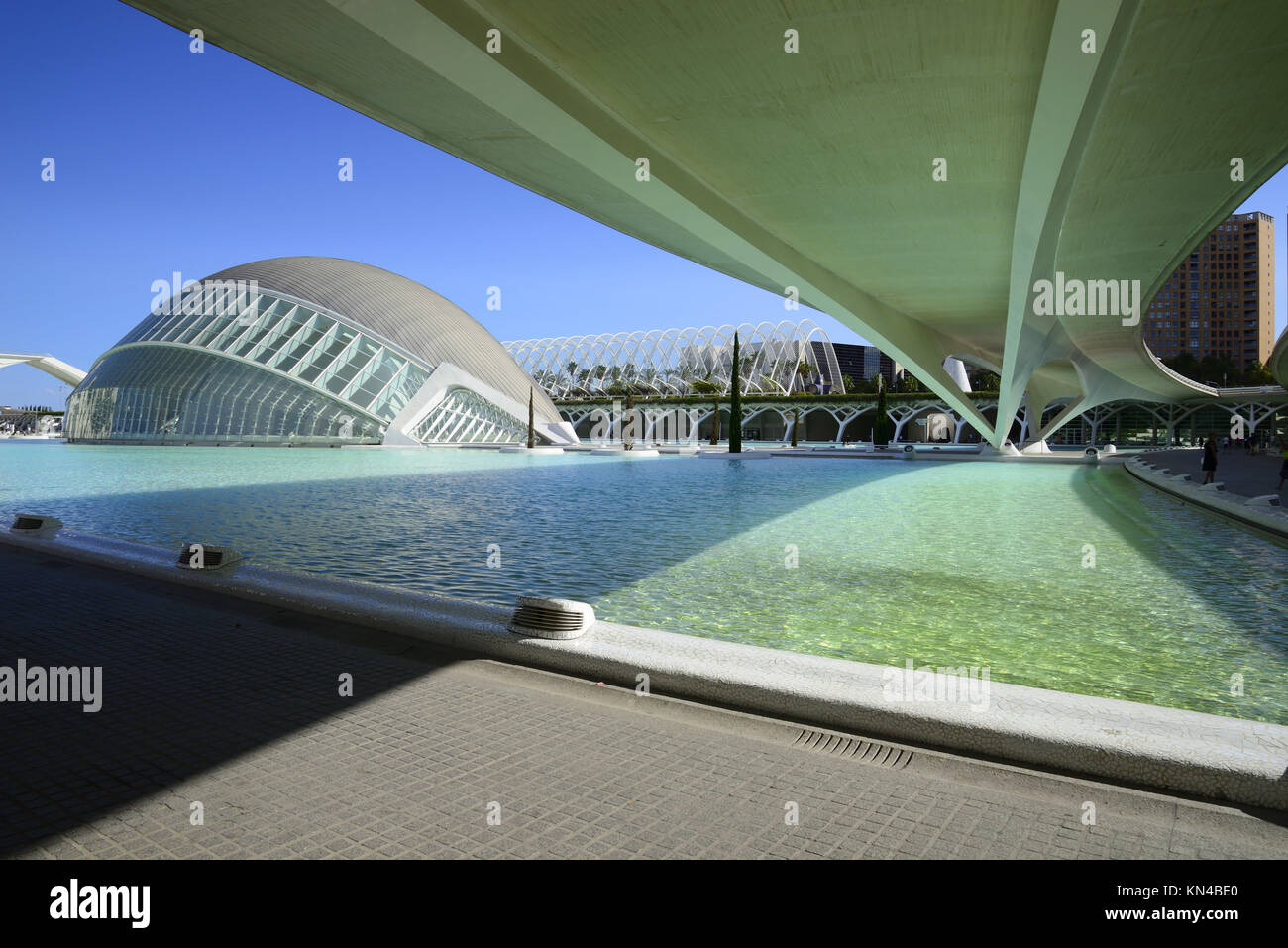 Edificio emisferica nella città delle arti e delle scienze di ... Citta delle arti e delle scienze di valencia