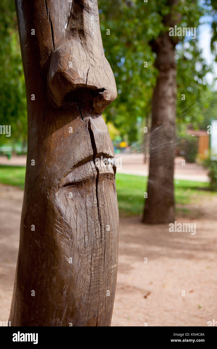 Tronco di albero con un volto scolpito che spruzzano acqua dalla bocca Foto Stock