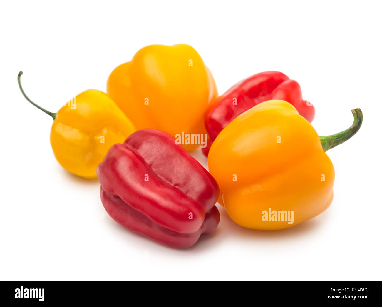 Mexican peperoncino habanero, baby mix, isolati su sfondo bianco Foto Stock