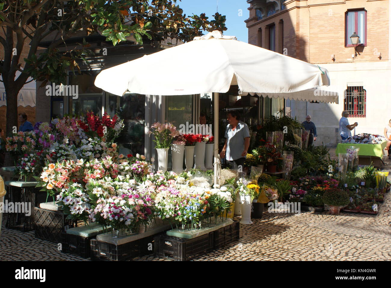 Cadice il mercato dei fiori, Plaza de las Flores, Cadiz, Spagna Foto Stock