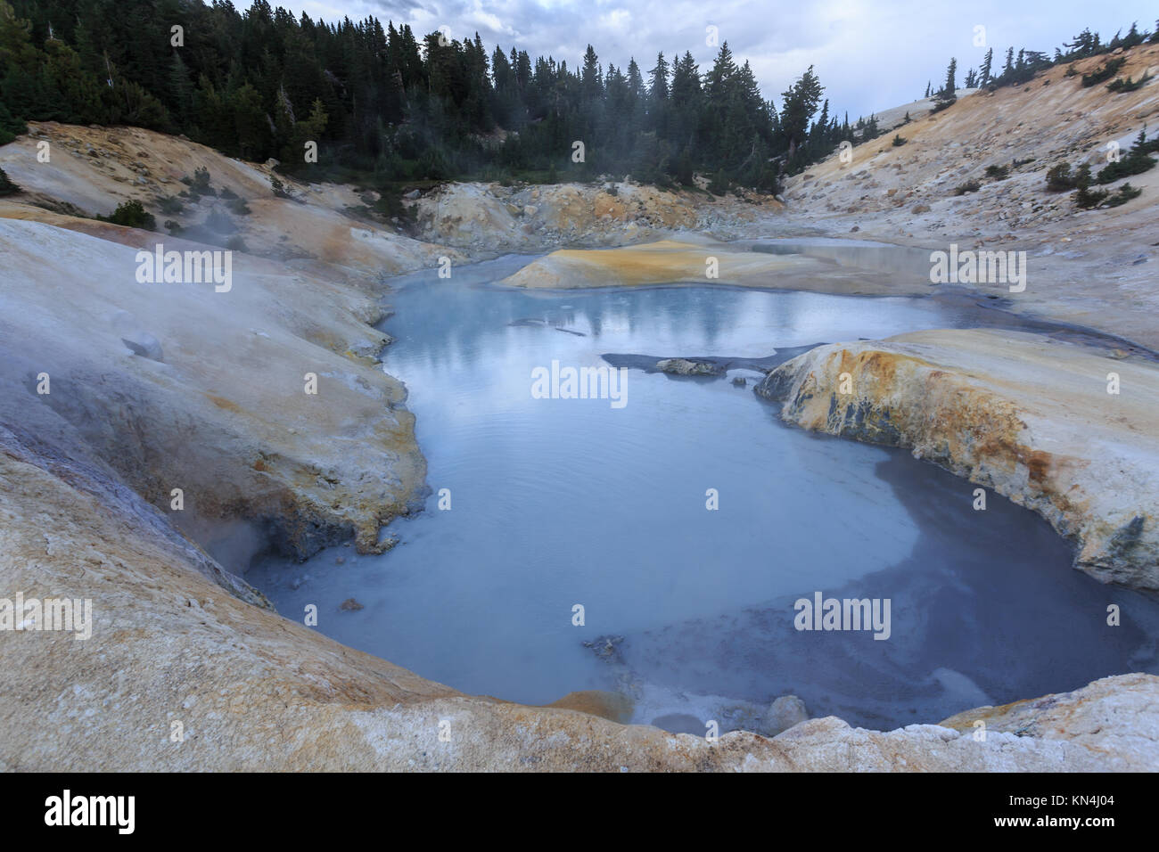 Alberi sempreverdi sembrano sfidare le discese sdrucciolevoli vicino alla pericolosa Boiling Springs e fango caldo pentole nel Parco Nazionale vulcanico di Lassen Foto Stock