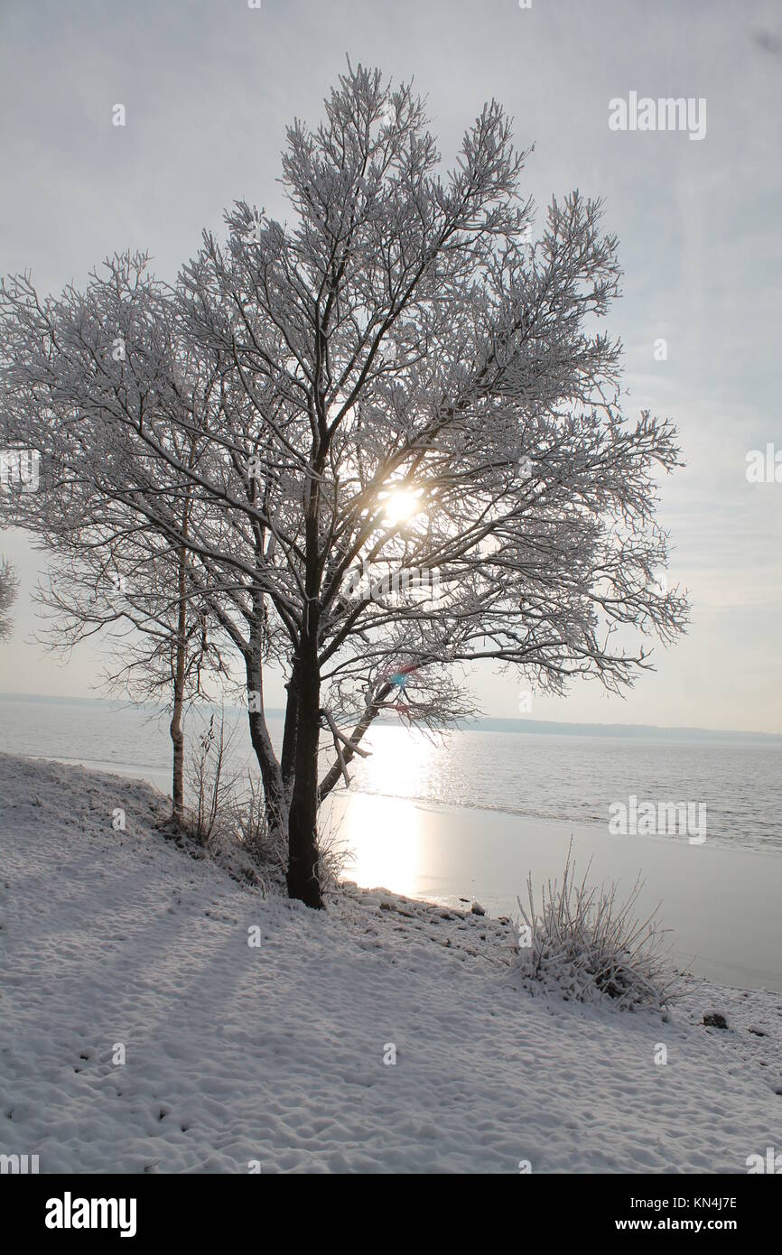 Bella giornata invernale sulla riva del mare tutti coperti brillare la neve scintillante e rime calma e tranquillità Foto Stock