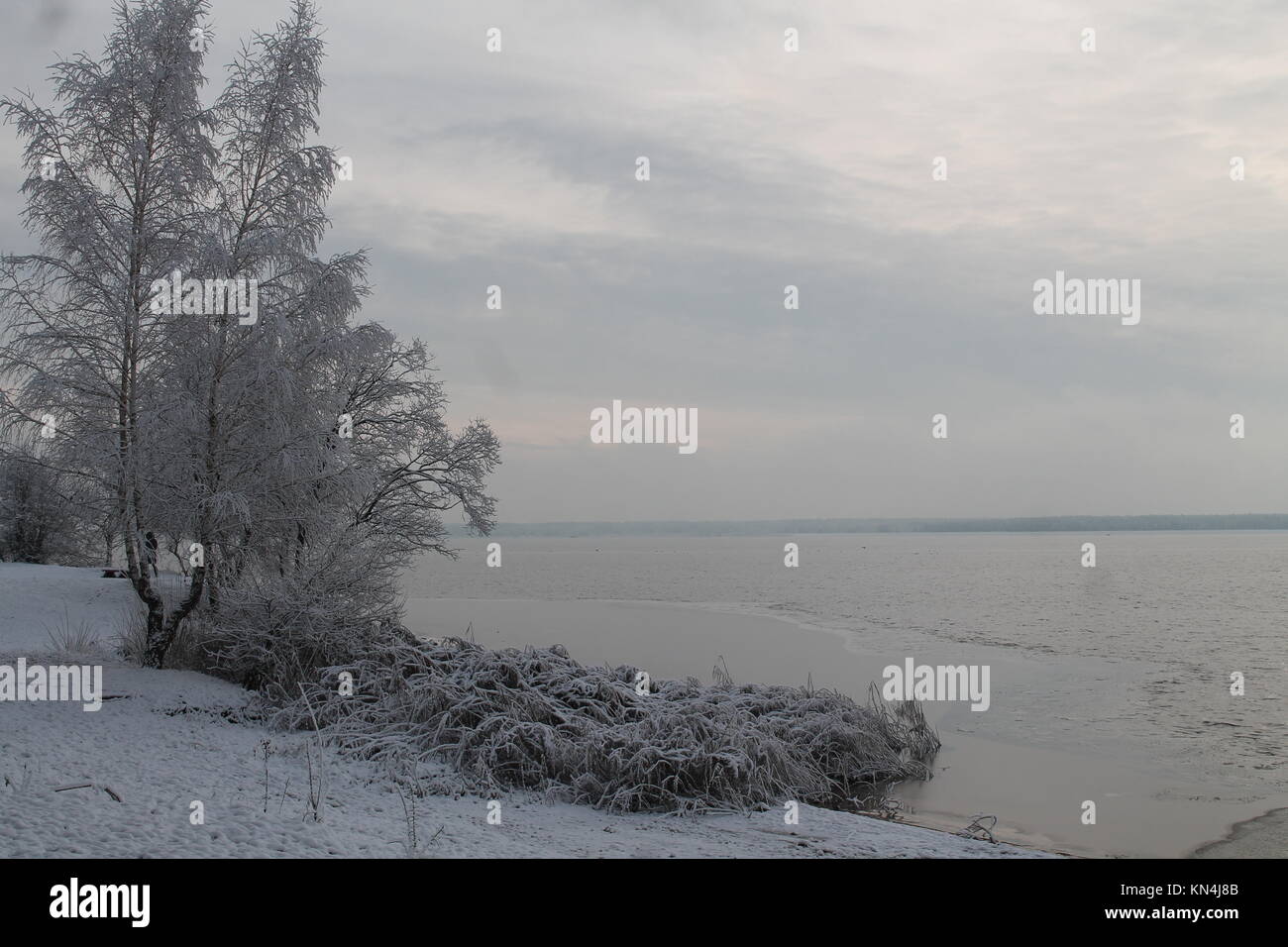 Bella giornata invernale sulla riva del mare tutti coperti brillare la neve scintillante e rime calma e tranquillità Foto Stock