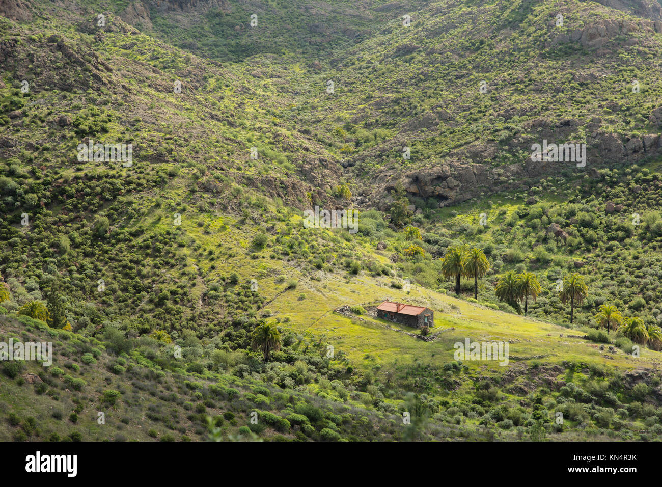 Piccola e solitaria casa isolata nella natura in Spagna Foto Stock
