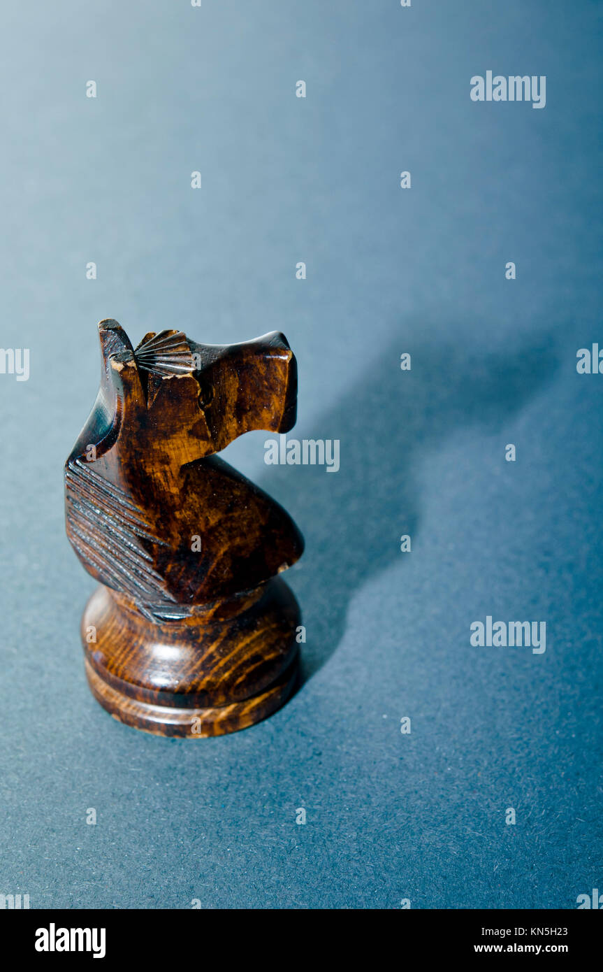 Il cavaliere di scacchi ombra Foto Stock