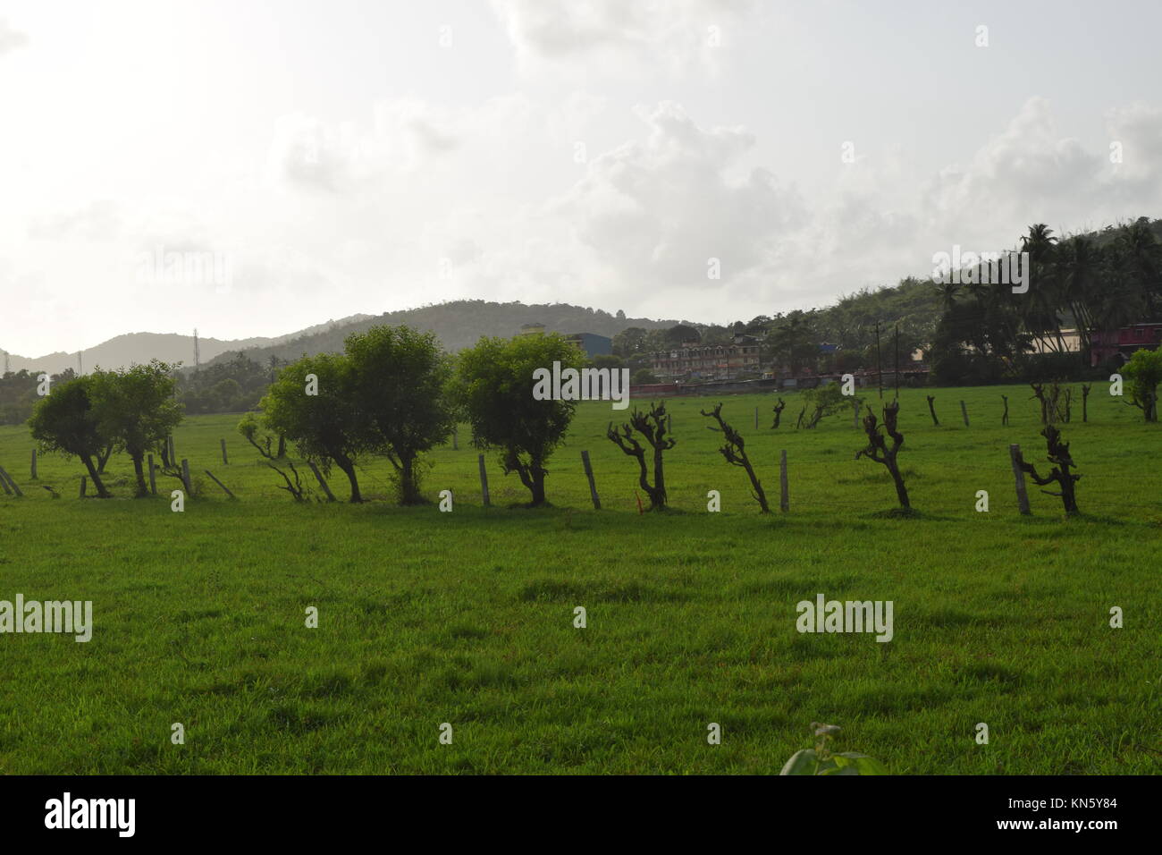 Green Farm per l'agriturismo o nelle aziende per la vendita di fotografie. Bella fattorie piene di verde e di Mountain View. Bellissimo agriturismo con uno sfondo con cielo nuvoloso. Foto Stock