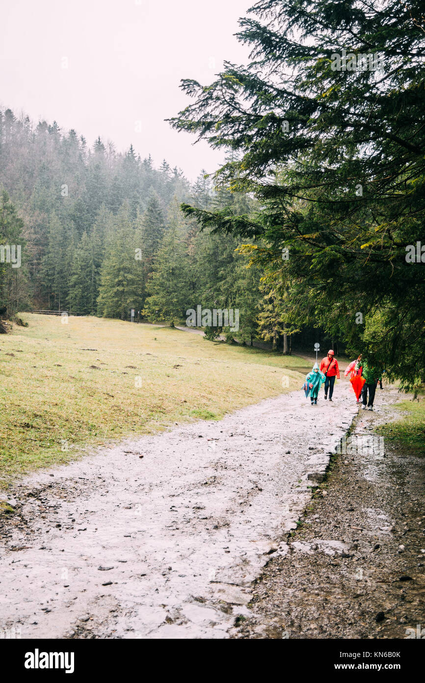 La gente che indossa la pioggia capes camminando su un sentiero in una foresta Foto Stock