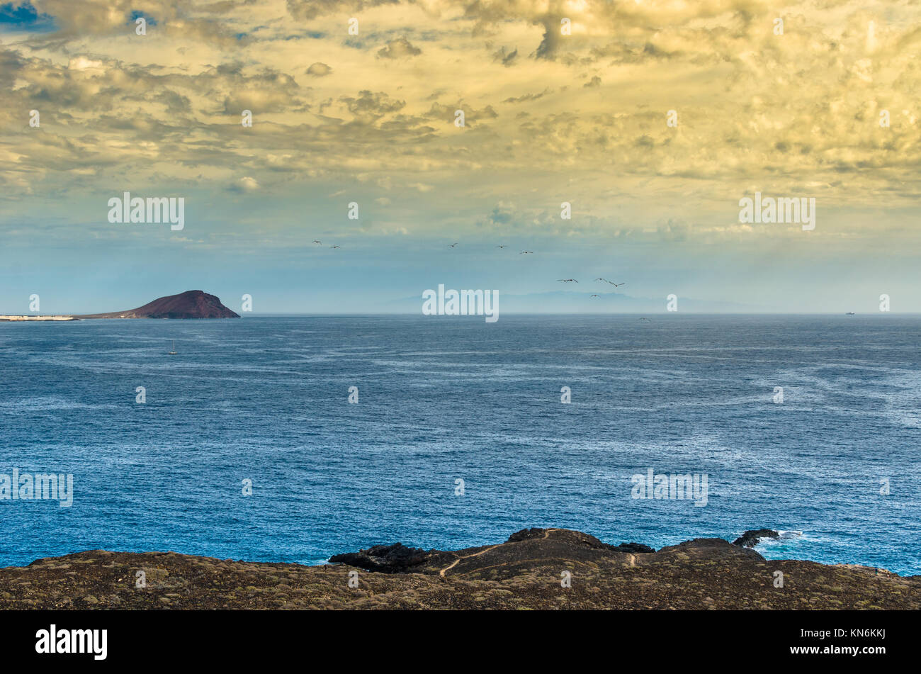 Uccelli in volo sopra l'Oceano Atlantico a Tenerife al tramonto, Isole Canarie, Spagna Foto Stock