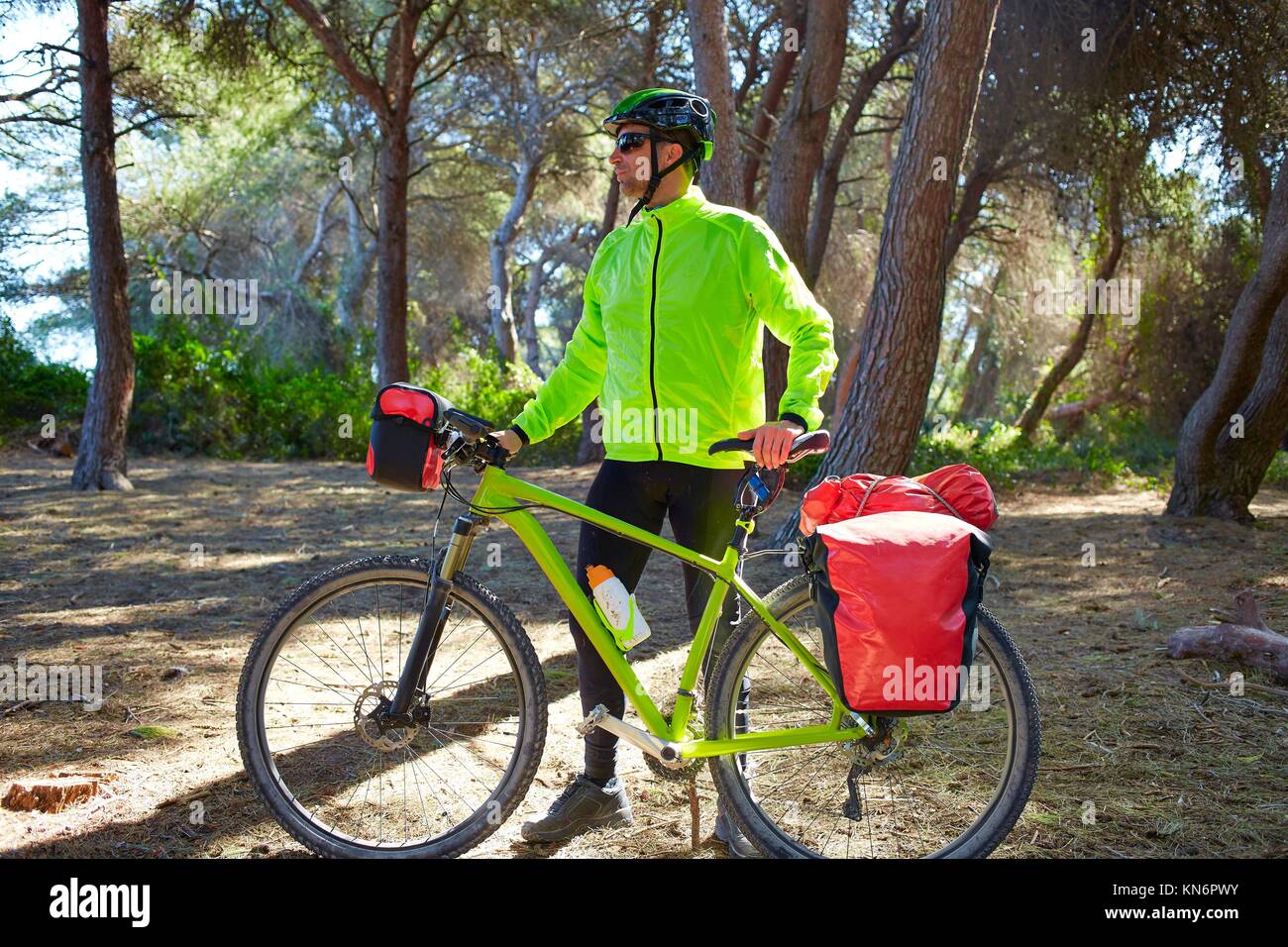 Biker MTB Cicloturismo in una foresta di pini con bauletto rack e la  bisaccia Foto stock - Alamy