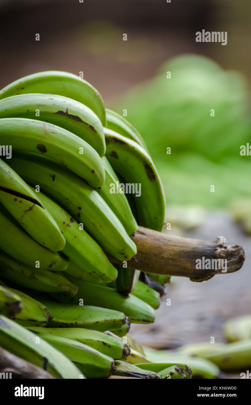 Primo piano della appena raccolto banane verdi in Nigeria, Africa Foto Stock