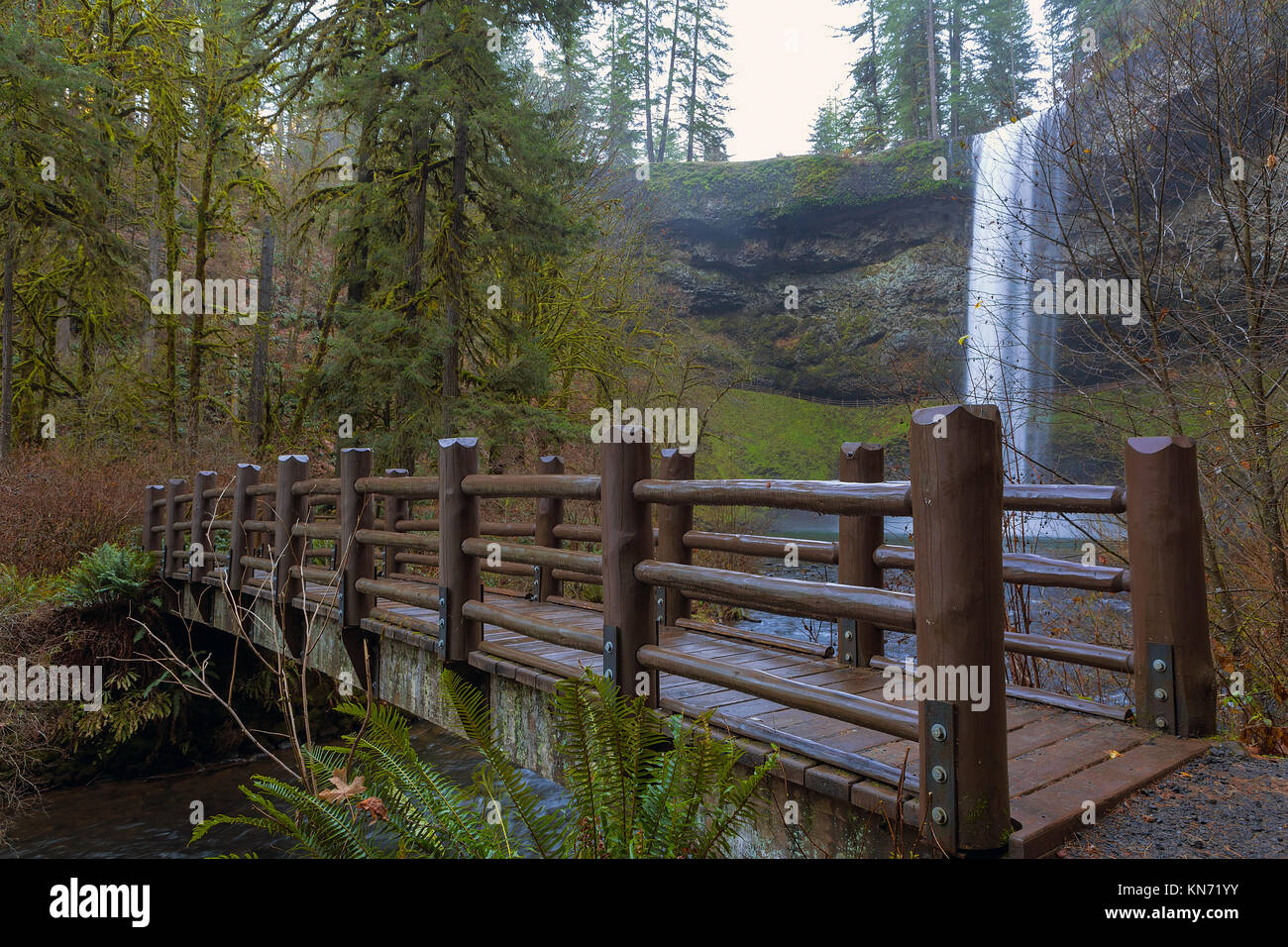 Ponte di legno da sud cade a Silver Falls State Park in Oregon Foto Stock